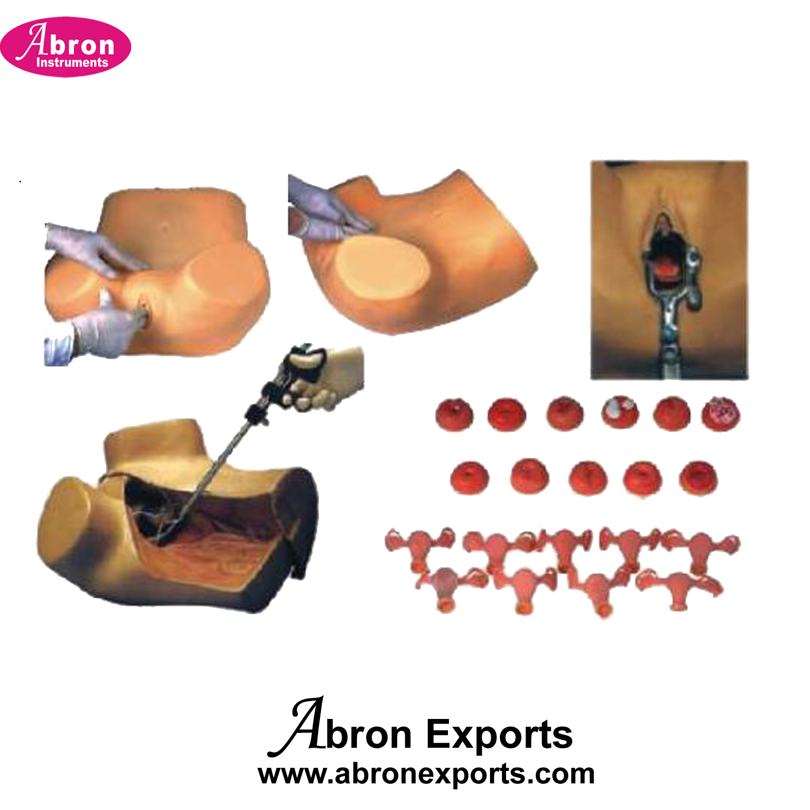 Nursing Training Education Model Female Gynacological Examination Simulator For Medical College Abron ABM-2479FEG 